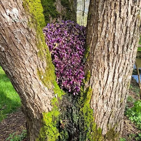Casa de Férias La Turlure Bressuire