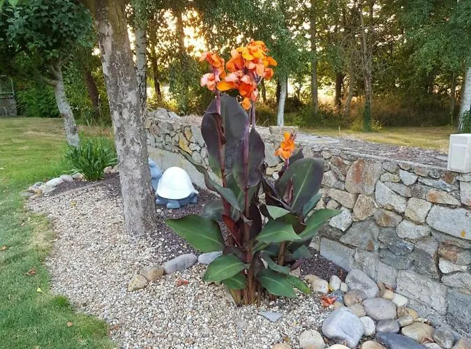 La Turlure * بريزير